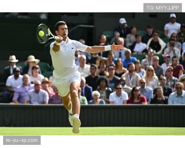 诺维奇黄绿军团新赛季启航，斗志昂扬剑指新目标