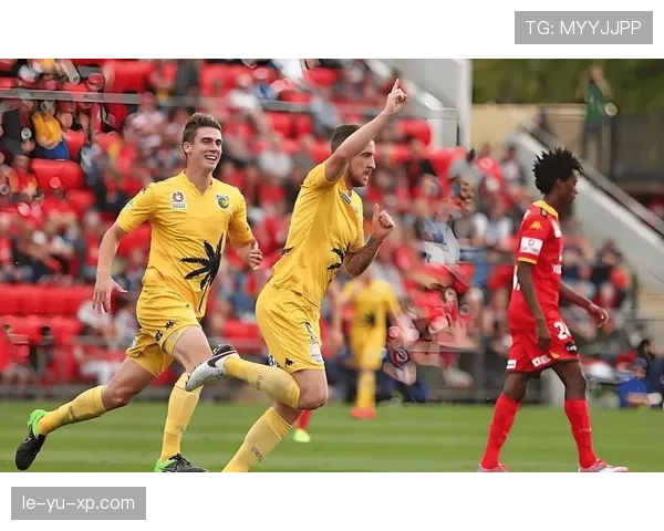 科克比赛回顾：球迷见证精彩足球盛宴，球队表现稳健